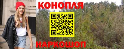 apvp Новодвинск