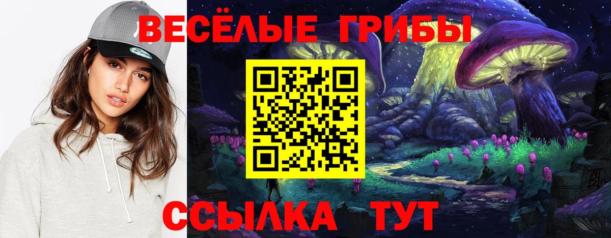 Галлюциногенные грибы мицелий Сатка