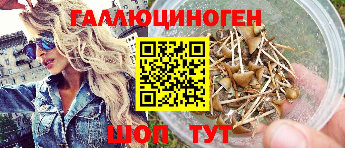 Сатка  Псилоцибиновые грибы мицелий  Вход с VPN  Галлюциногенные грибы GOLDEN TEACHER 